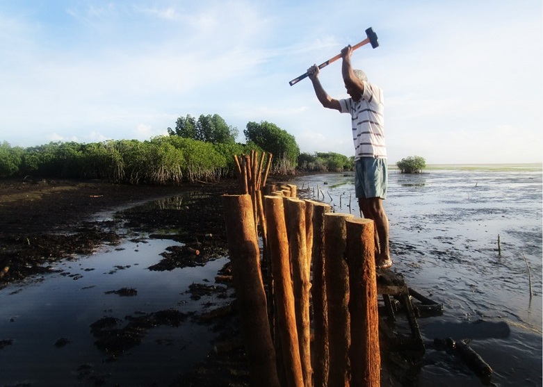 © GIZ/CCCPIR: Construction of a shoreline reinforcement system in Tonga to protect coastal areas from rising sea levels and flood events