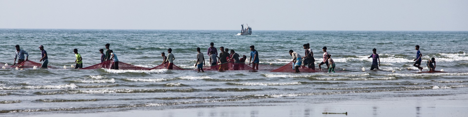 Fishers working together to take in a net on a beach.